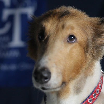 Max in ACT Happy Video