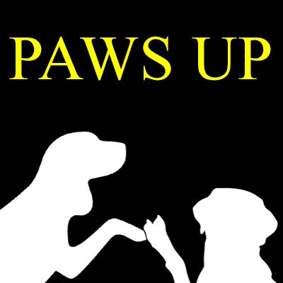 Paws Up