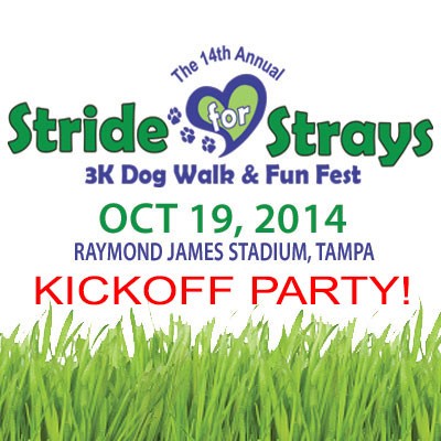 Stride Kickoff Party