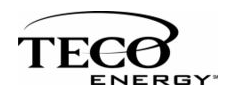 TECO_Energy_Logo
