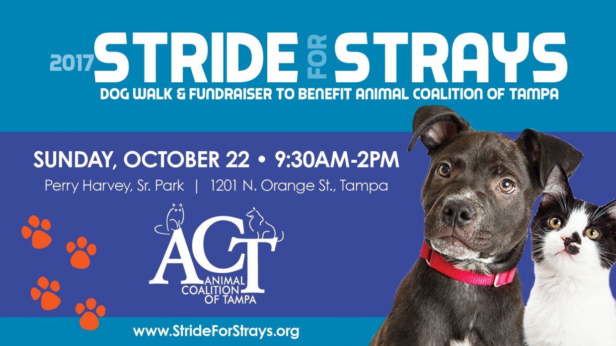 016_ACT_2017StridesForStrays_1920x1080Pxl_Banner_Proof1