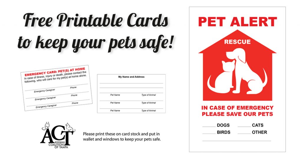 Free pet safety samples