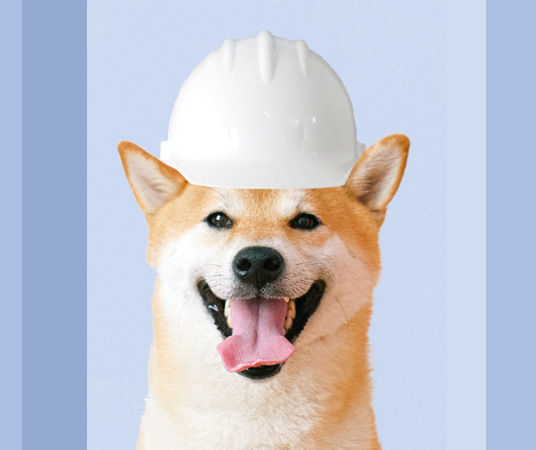 construction.dog sm